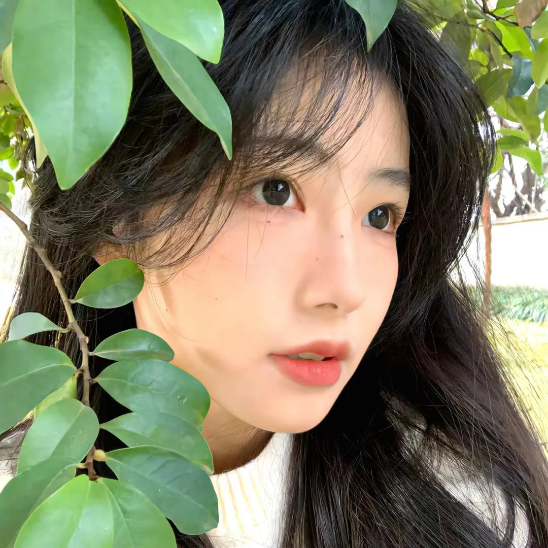 来自风平浪静的明天